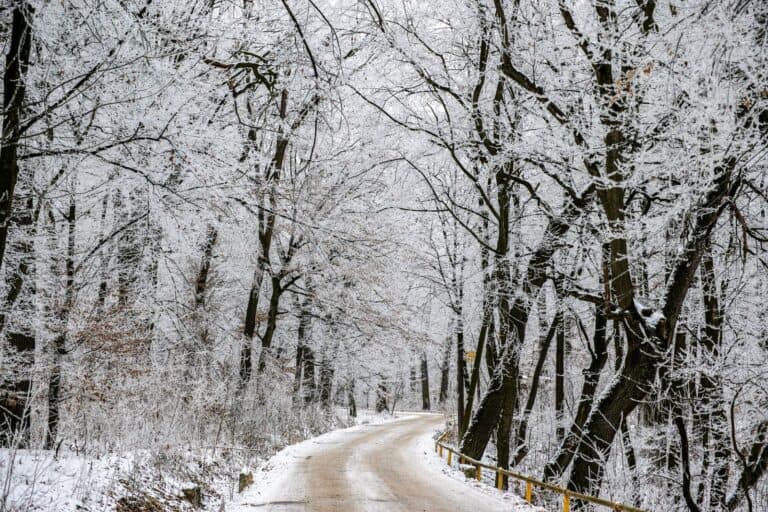 Több helyen is havazhat az év utolsó napján: szilveszteri hózáporok jöhetnek, majd gyors enyhülés érkezik