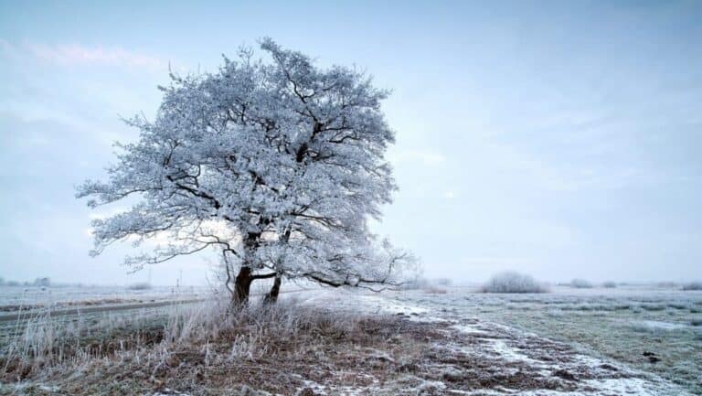Fagyos volt a vasárnap reggel – mínusz hat fok alá süllyedt a hőmérséklet a Duna–Tisza közén