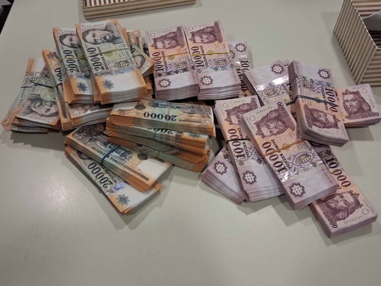 Több száz millió forintot foglaltak le két főorvostól Budapesten, akik havi 100-140 ezer forintot kértek el a betegek államilag finanszírozott elhelyezéséért